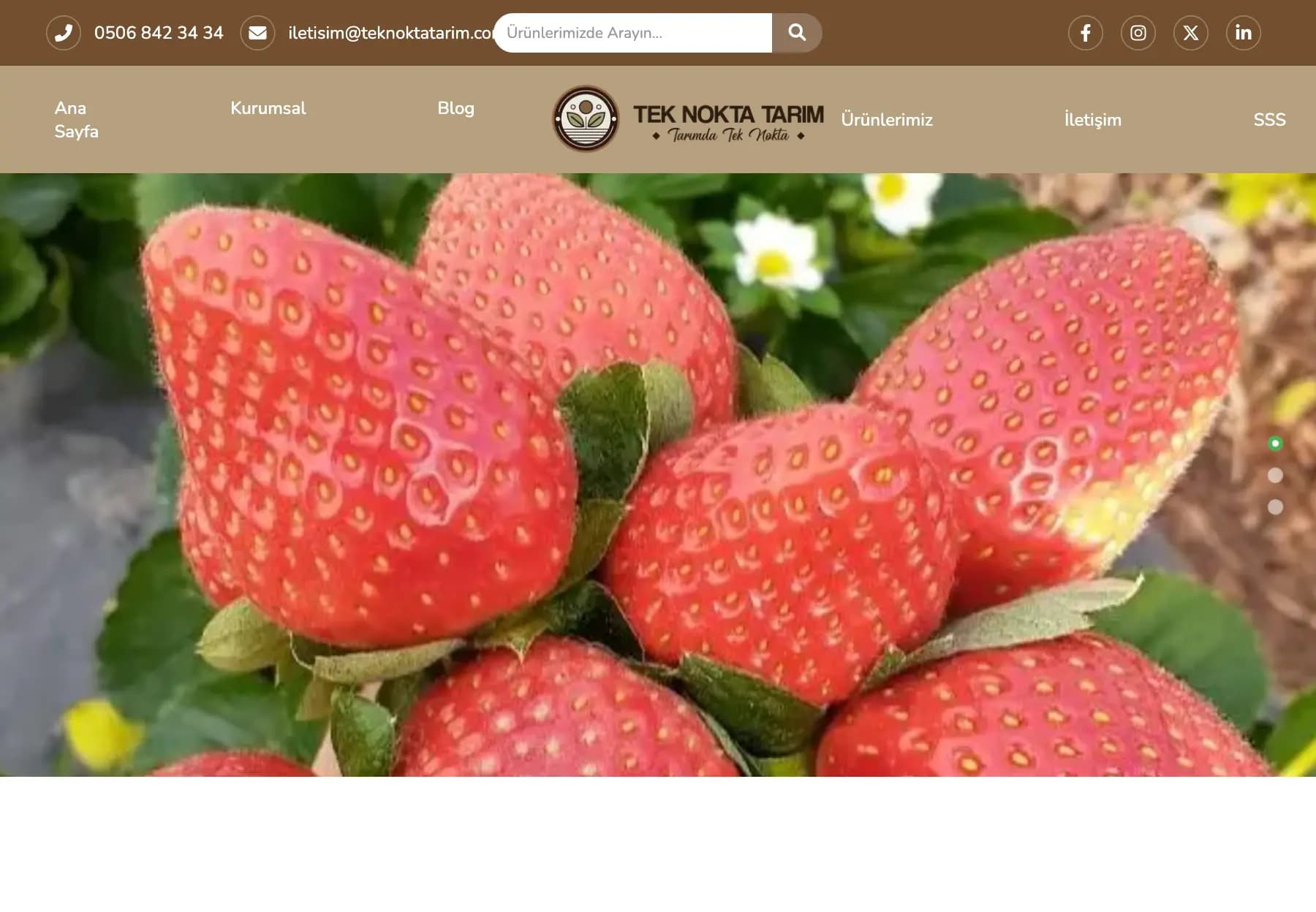 TeknoktaTarım Kütüphane Sitesi sitesi